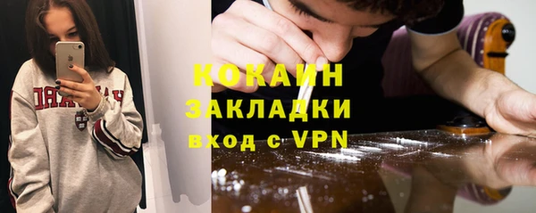 крисы Лагань